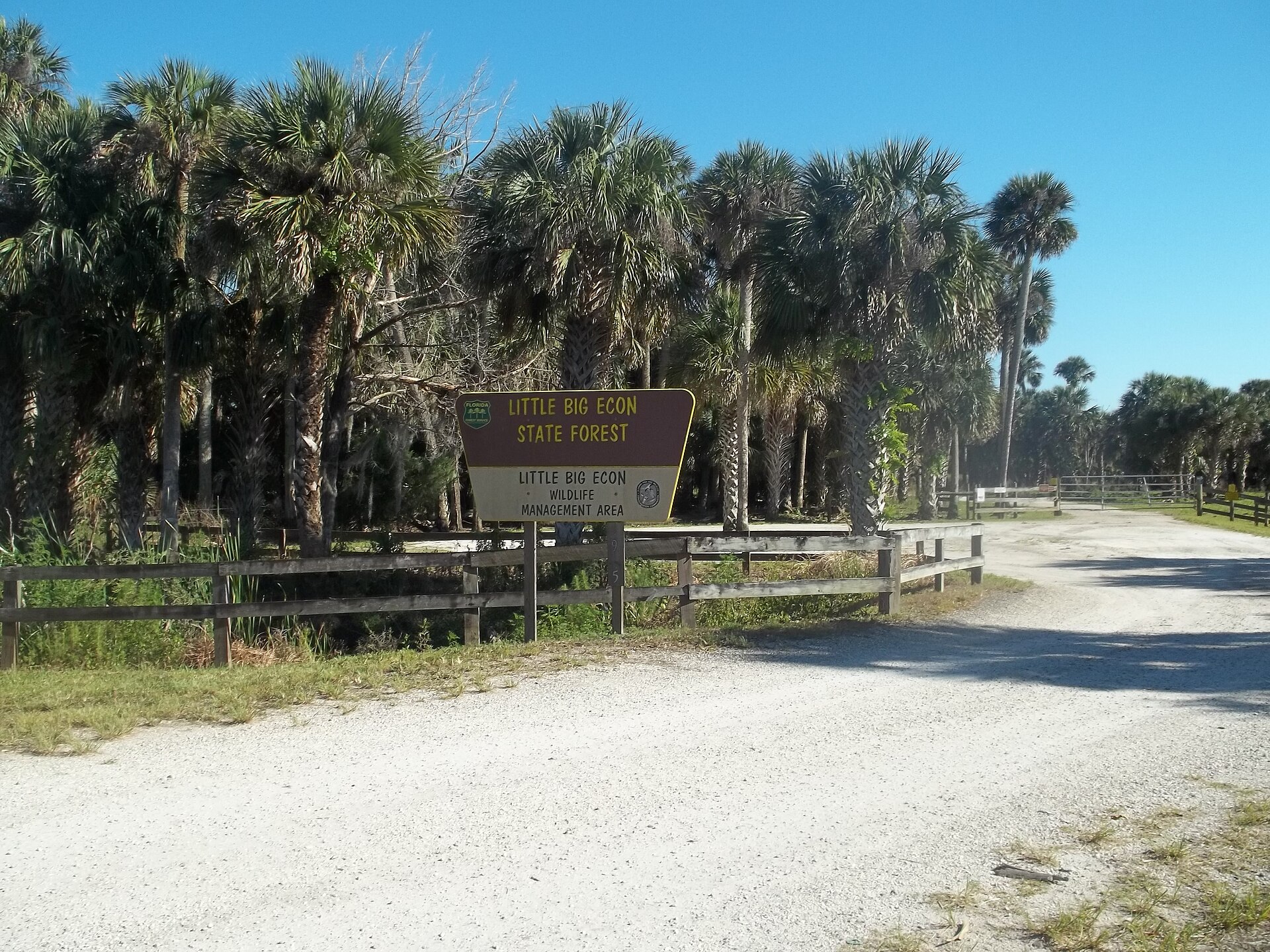 Little Big Econ State Forest - Barr Street Trailhead